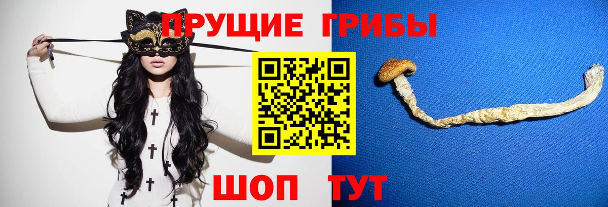 Галлюциногенные грибы прущие грибы  Вход с VPN  Королёв  Галлюциногенные грибы Psilocybe 